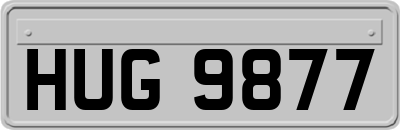 HUG9877