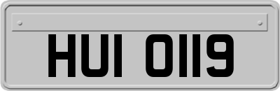 HUI0119