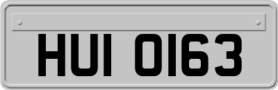 HUI0163