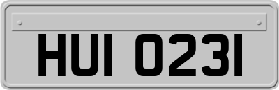 HUI0231