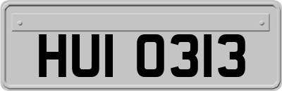 HUI0313