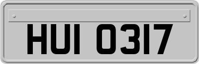 HUI0317