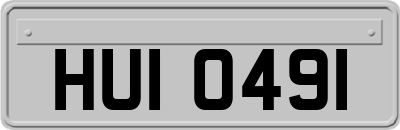 HUI0491