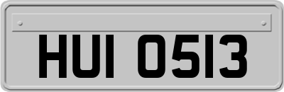 HUI0513