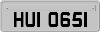 HUI0651