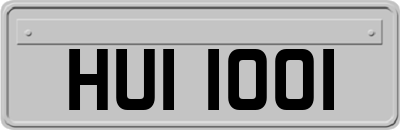 HUI1001