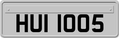 HUI1005