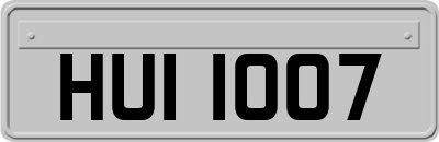 HUI1007