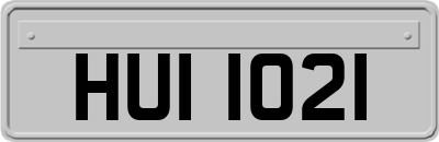 HUI1021