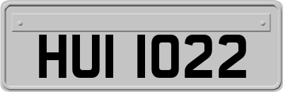 HUI1022