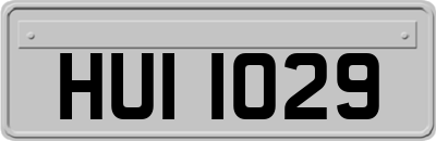 HUI1029