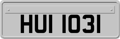 HUI1031