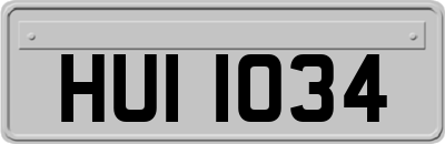 HUI1034