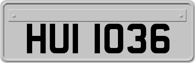 HUI1036