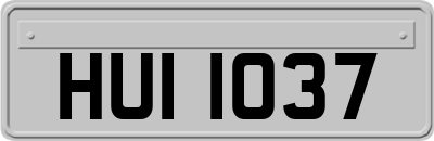 HUI1037