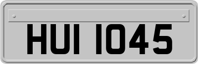 HUI1045