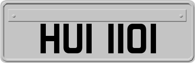 HUI1101