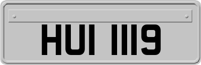 HUI1119