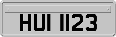 HUI1123