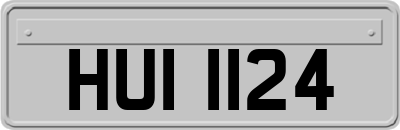 HUI1124