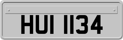 HUI1134