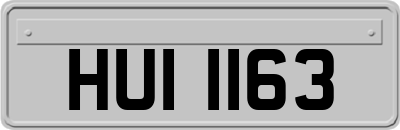 HUI1163