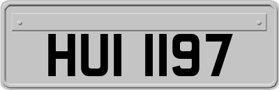 HUI1197