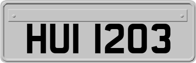 HUI1203