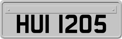 HUI1205