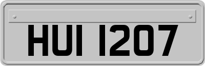 HUI1207