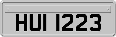 HUI1223