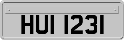 HUI1231