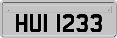 HUI1233