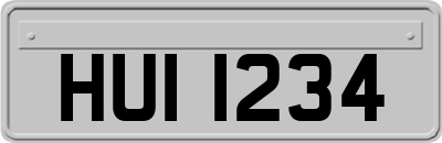 HUI1234