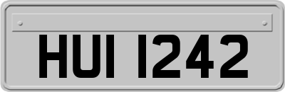 HUI1242