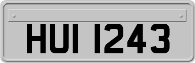 HUI1243