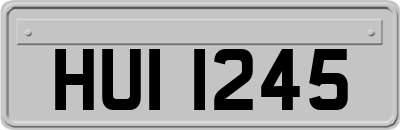 HUI1245