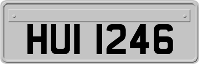 HUI1246