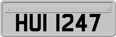 HUI1247