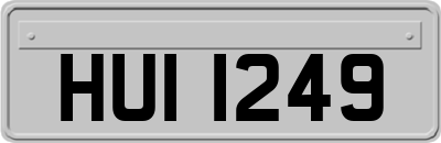 HUI1249