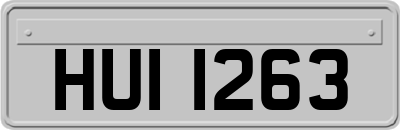 HUI1263