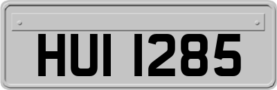 HUI1285