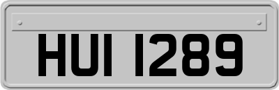 HUI1289