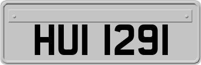 HUI1291