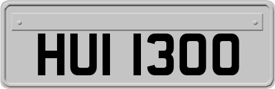 HUI1300