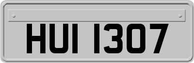 HUI1307