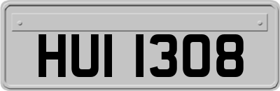 HUI1308