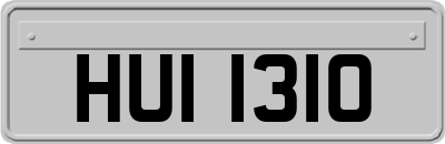 HUI1310