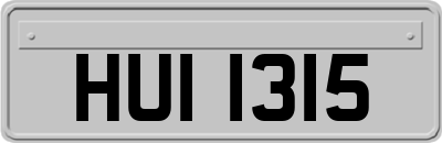 HUI1315