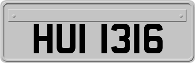 HUI1316